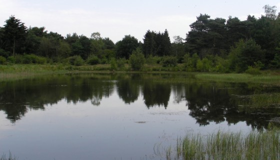 Umgebung