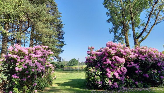 Cottage D`n Kattepoel