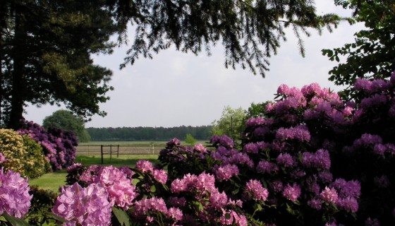 Buitenhuis D`n Weijer