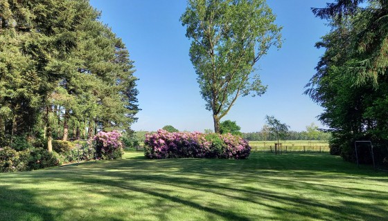 Buitenhuis D`n Kattepoel