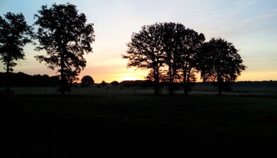Buitenhuis D`n Kattepoel