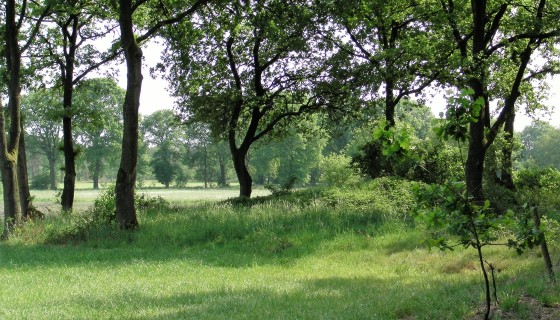 Buitenhuis D`n Gelukten