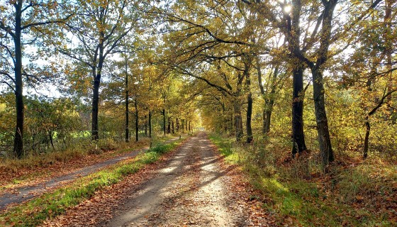 Buitenhuis D`n Weijer