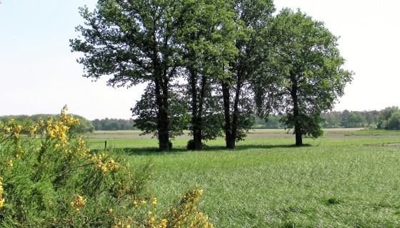 Buitenhuis D`n Kattepoel