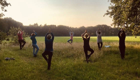 Yoga & Meditatie workshop op locatie