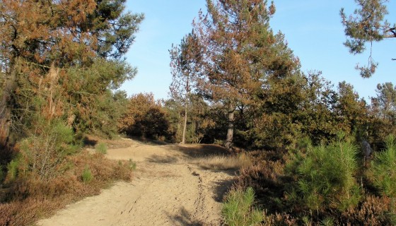 Buitenhuis D`n Kattepoel